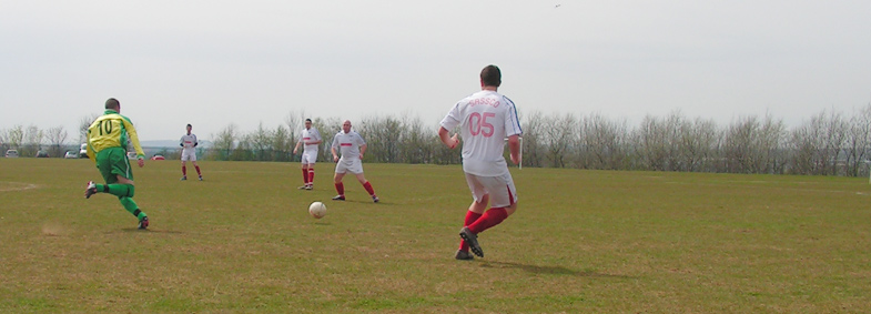 Memory Lane: Mountain Daisy 4 Sassco.co.uk 0.