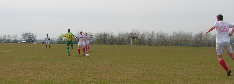 Memory Lane: Mountain Daisy 4 Sassco.co.uk 0.