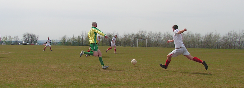 Memory Lane: Mountain Daisy 4 Sassco.co.uk 0.