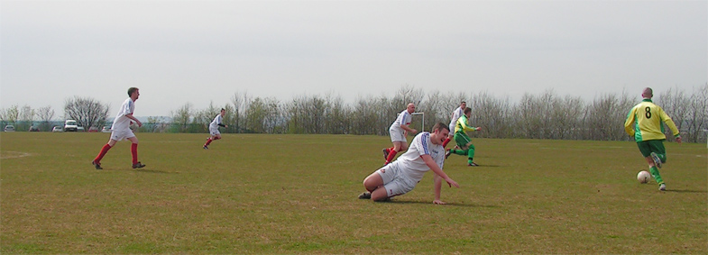 Memory Lane: Mountain Daisy 4 Sassco.co.uk 0.