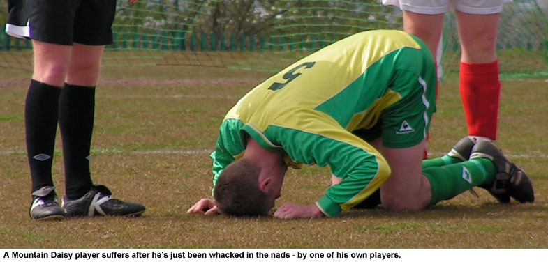 Memory Lane: Mountain Daisy 4 Sassco.co.uk 0.