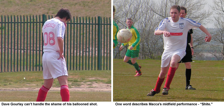 Memory Lane: Mountain Daisy 4 Sassco.co.uk 0.