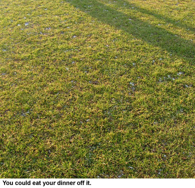 11-a-side 2007-2008 11-a-side 2007-2008