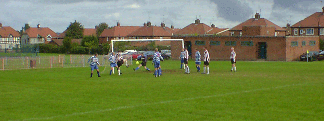 Toddy's 11-a-side 2001-2002 Toddy's 11-a-side 2001-2002